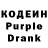 Codein Purple Drank Dani Dado