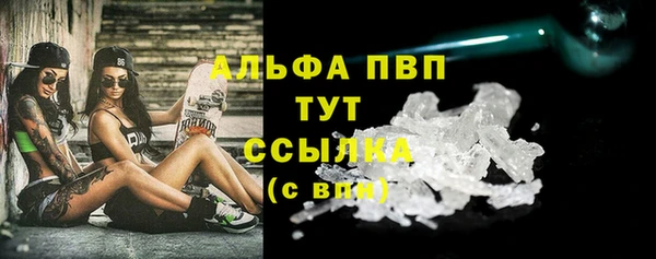гашик Нефтекумск