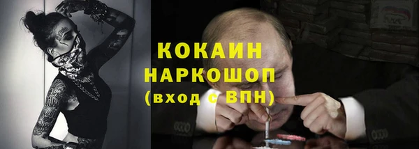 стафф Нефтегорск