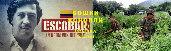 гашик Нефтекумск