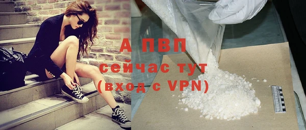 гашик Нефтекумск