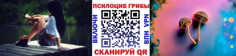 Галлюциногенные грибы Psilocybine cubensis  Истра 
