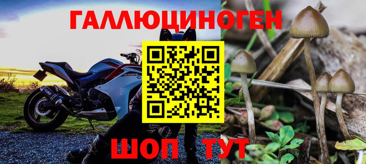 Псилоцибиновые грибы мухоморы Истра