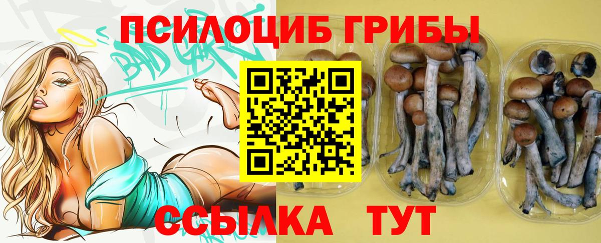 Галлюциногенные грибы Psilocybe  Вход с VPN  Истра  Псилоцибиновые грибы мицелий 