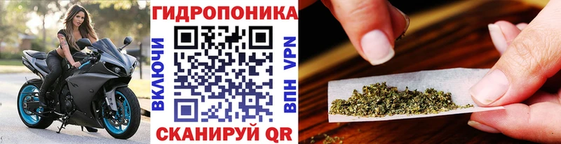 ОМГ ОМГ ССЫЛКА  Истра  Бошки марихуана Amnesia  наркошоп 